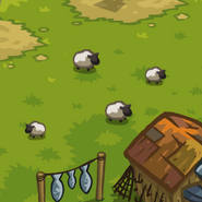 Critter Sheep