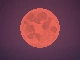 Blood Moon h