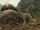 Sker Buffalo