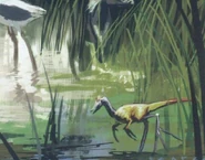 Furcidactyl.jpg (57 KB)