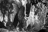 Stego1933.jpg (41 KB) Stegosaurus in old King Kong movie