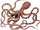 Mire Squid