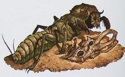 Decarnocimex.jpg