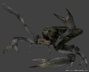 L53796-cunaepraedator-45759.jpg (23 KB) Cunaepraedator in a model display.