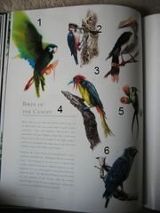 SkullIslandsWildife047.jpg