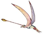 Rhamphorhynchus