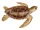 Skull Island Loggerhead Sea Turtle