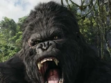 Kong (2005)