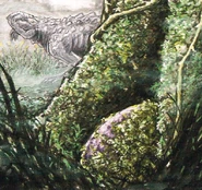 Noctupervagus egg.png (955 KB) Noctupervagus eggs.