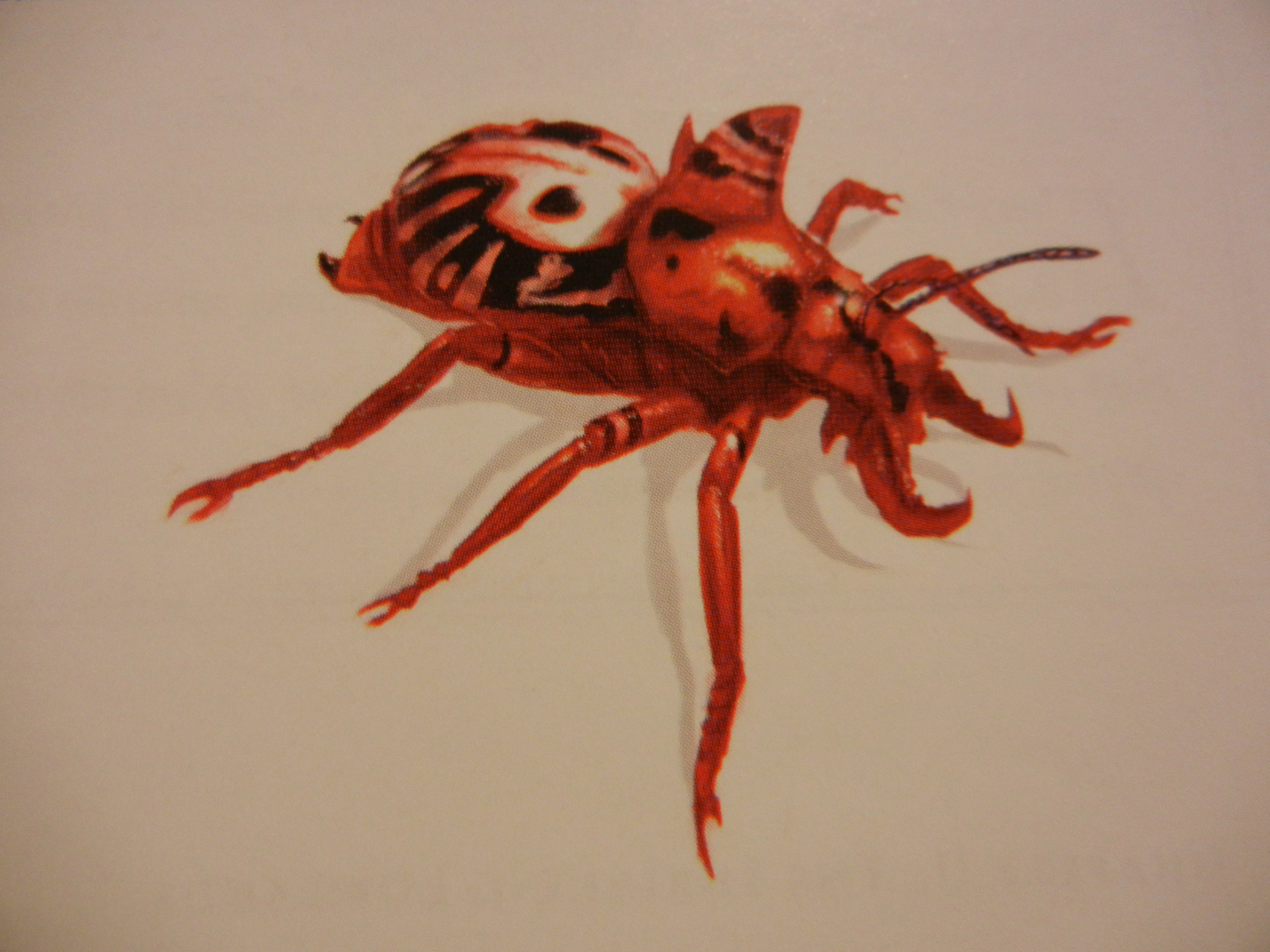 Category:Insects | King Kong Wiki | Fandom