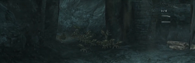 Moonspidersin.png