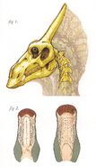 Ligocristus guts