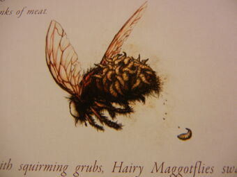 DSCN1839.jpg