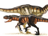 Venatosaurus impavidus