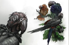Carrion Parrots.jpg
