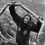 Godzilla.jp - 3 - GojiKong King Kong 1962