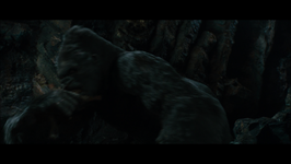 Vlcsnap-2016-02-17-23h18m54s249.png