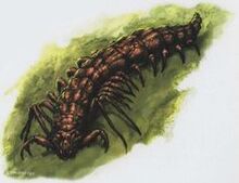 Megapede.jpg