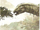 Asperdorsus
