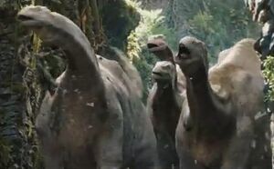 Brontosaurus.jpg