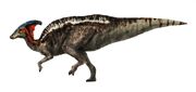 Parasaurolophus5.jpg