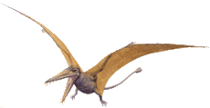 Rhamphorhynchus