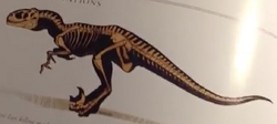Venatosaurus Skeleton.png