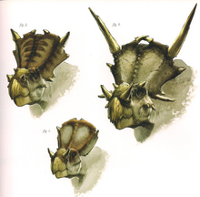 Horned Family