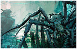 Arachnocidis.jpg