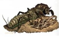Deac2.jpg