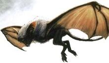 Bat Boi.jpg