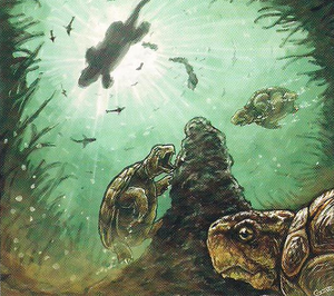 Kong turtle clearance