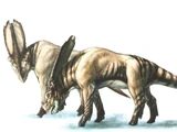 Sylvaceratops