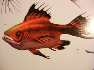 DSCN2137.jpg