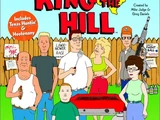 King of the Hill Video Game