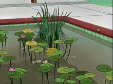Vlcsnap-00508.png