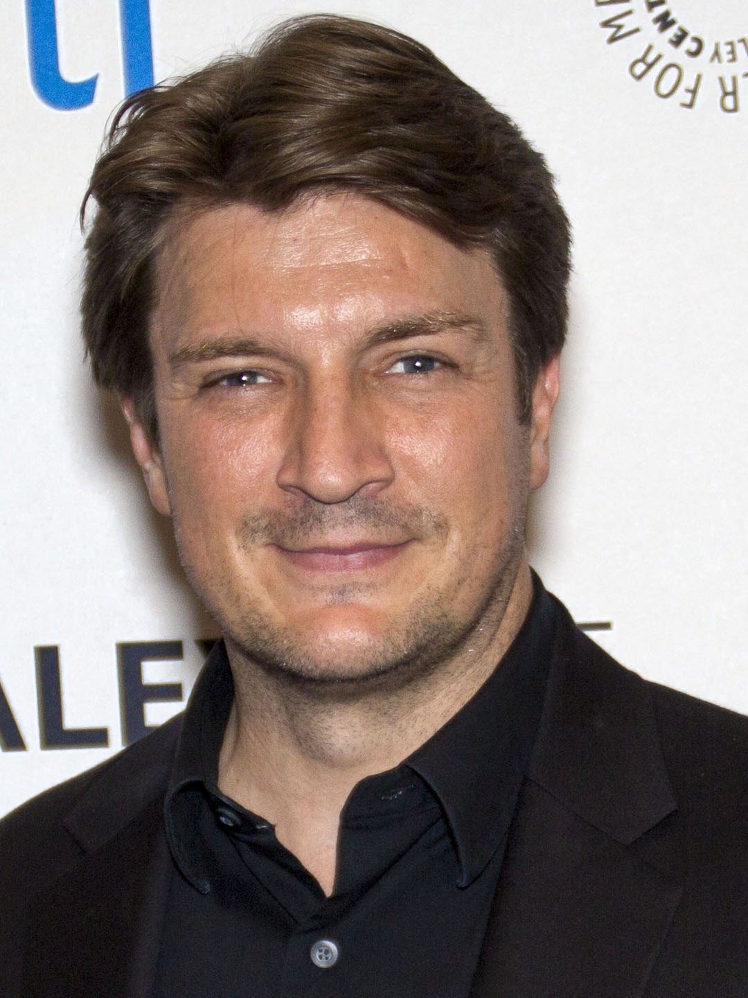 Nathan Fillion King of the Hill Wiki Fandom