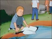 Whooping Crane.jpg (29 KB)