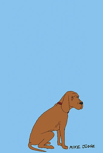 purebred georgia bloodhound