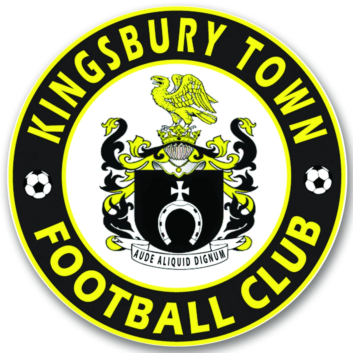 Kingsbury Town Football Club Kingsbury Town Football Club Series Wiki Fandom