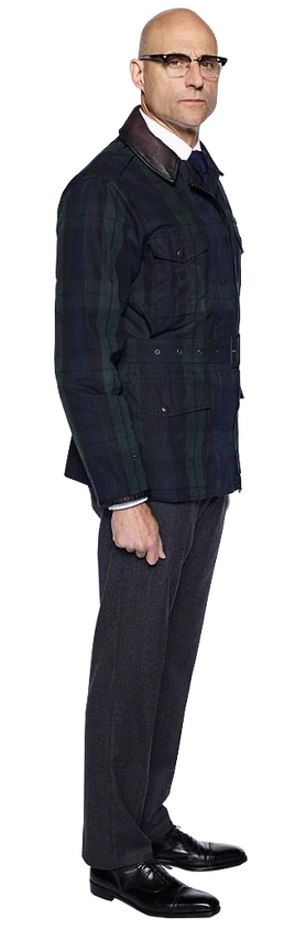 Merlin (transparent)