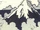 Sacred Mountain