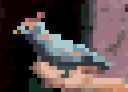 Singsing.png