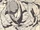 Kokumo