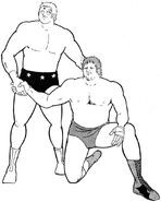 Terryman was modelled after Terry Funk