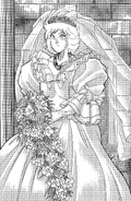 Bibimba wedding dress.png (935 KB)