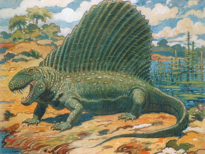 Древние ящерицы. Пермский период Диметродон. Дометрофодон динозавр. Диметродон это рептилия.