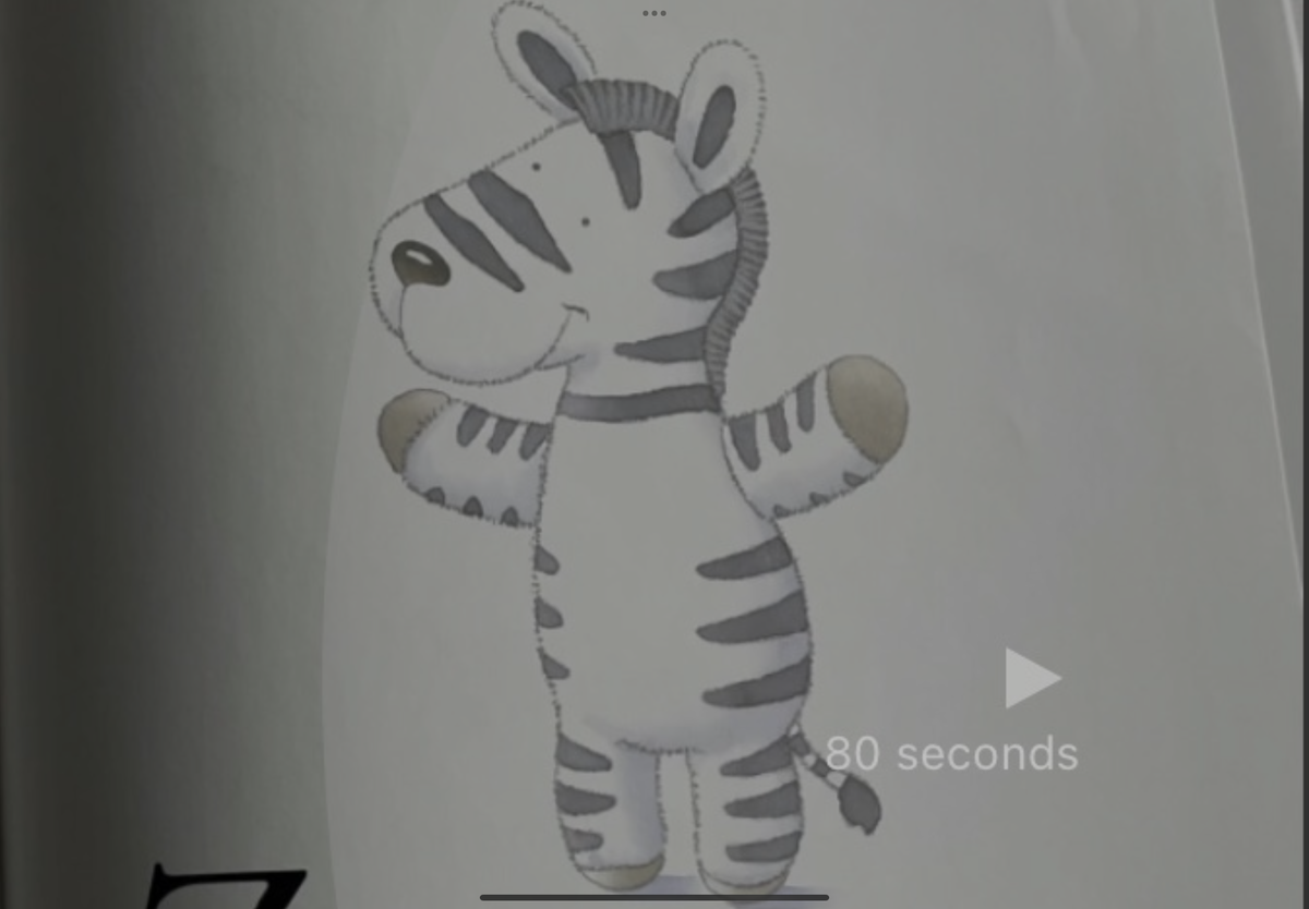 絵画 Zebrappy Black and White Zebra Optical Illusion Artwork 578968723