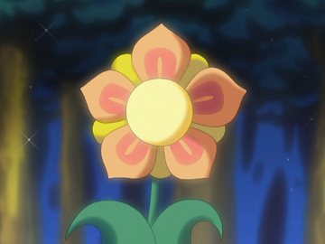 The Flower Plot Kirby Wiki Fandom