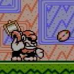 ココナッツ爆弾(夢の泉の物語)